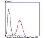 Beta III Tubulin Antibody in Flow Cytometry (Flow)