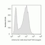 mCherry Monoclonal Antibody (16D7), Alexa Fluor™ 594