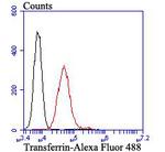 Transferrin Antibody in Flow Cytometry (Flow)