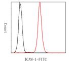 ICAM-1 Antibody in Flow Cytometry (Flow)