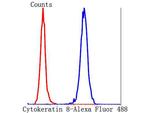 Cytokeratin 8 Antibody in Flow Cytometry (Flow)