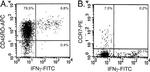 IFN gamma Antibody in Flow Cytometry (Flow)