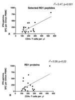 IFN gamma Antibody in ELISA (ELISA)