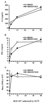 IFN gamma Antibody in ELISA (ELISA)