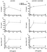 IFN gamma Antibody in ELISA (ELISA)