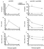 IFN gamma Antibody in ELISA (ELISA)