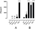 IFN gamma Antibody in ELISA (ELISA)