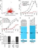 IFN gamma Antibody in ELISA (ELISA)