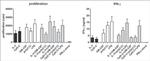 IFN gamma Antibody in ELISA (ELISA)