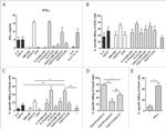 IFN gamma Antibody in ELISA (ELISA)