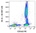 CD162 Monoclonal Antibody (TC2), PE