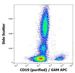 CD19 Antibody in Flow Cytometry (Flow)
