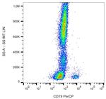 CD19 Antibody in Flow Cytometry (Flow)