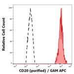 CD20 Monoclonal Antibody (2H7)