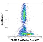 CD229 Antibody in Flow Cytometry (Flow)