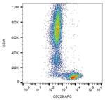 CD229 Monoclonal Antibody (HLy9.25), APC
