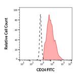 CD24 Monoclonal Antibody (SN3), FITC