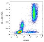 CD24 Monoclonal Antibody (SN3), PE