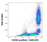 EVI2B Antibody in Flow Cytometry (Flow)