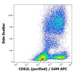 CD62L Antibody in Flow Cytometry (Flow)