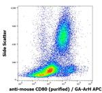 CD80 Antibody in Flow Cytometry (Flow)