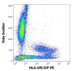 HLA-DR/DP Monoclonal Antibody (HL-38), PE