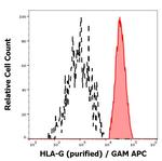 HLA-G (soluble) Monoclonal Antibody (2A12)