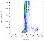 Mouse anti-Human IgE Secondary Antibody, FITC