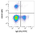 Mouse anti-Human IgG Fc Secondary Antibody, FITC