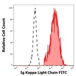Mouse anti-Human Kappa Light Chain Secondary Antibody, FITC