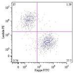 Human Kappa Light Chain Secondary Antibody in Flow Cytometry (Flow)