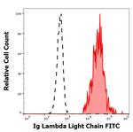 Mouse anti-Human Lambda Light Chain Secondary Antibody, FITC