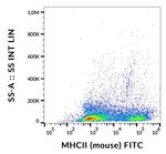 I-A/I-E Monoclonal Antibody (M5/114), FITC