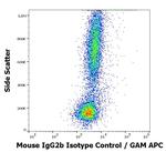 Mouse IgG2b Isotype Control (PLRV219)