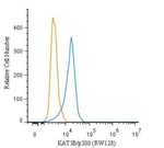 p300 Antibody in Flow Cytometry (Flow)