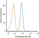 p300 Antibody in Flow Cytometry (Flow)