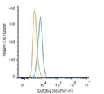 p300 Antibody in Flow Cytometry (Flow)