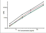 Cardiac Troponin T Antibody in ELISA (ELISA)