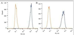 Apolipoprotein A5 Antibody in Flow Cytometry (Flow)