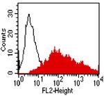 CEACAM1 Antibody in Flow Cytometry (Flow)