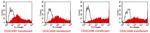 CD66 (CEACAM) Antibody in Flow Cytometry (Flow)