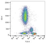 CD4 Antibody in Flow Cytometry (Flow)