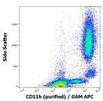 CD11b Antibody in Flow Cytometry (Flow)