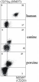 CD20 Antibody in Flow Cytometry (Flow)