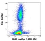 CD20 Antibody in Flow Cytometry (Flow)
