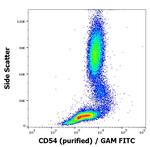 ICAM-1 Antibody in Flow Cytometry (Flow)