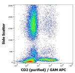 CD2 Antibody in Flow Cytometry (Flow)