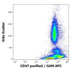 CD47 Antibody in Flow Cytometry (Flow)