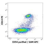 ICAM-1 Antibody in Flow Cytometry (Flow)
