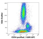 ICAM-1 Antibody in Flow Cytometry (Flow)